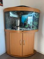 Aquarium Juwel, Ophalen of Verzenden