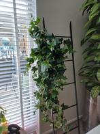 Prachtige kunst hangplant nieuw, Huis en Inrichting, Woonaccessoires | Kunstplanten en Kunstbloemen, Ophalen of Verzenden, Nieuw