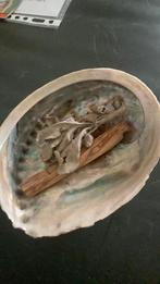 Huisreiniging: Abalone schelp, palo santo hout witte salie, Verzamelen, Mineralen en Fossielen, Ophalen of Verzenden, Schelp(en)