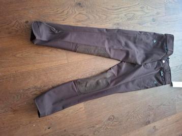 Rijbroek harry's horse 152 of 164 beschikbaar voor biedingen