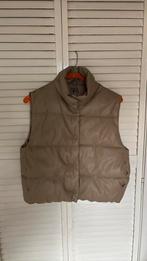 Zara bodywarmer maat 164, Ophalen of Verzenden, Zo goed als nieuw