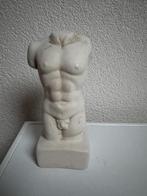 Mannentorso - wit - 16 cm, Ophalen of Verzenden, Nieuw, Dier