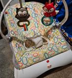 Fisher Price Wipstoeltje Wipstoel, Ophalen, Gebruikt, Fisher-Price, Met gordel(s) of riempje(s)