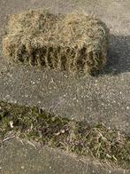 Hooi voor paarden schapen, Dieren en Toebehoren, Dierenvoeding, Ophalen