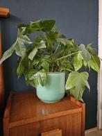 Ikea Gradvis bloempot turquoise, Ophalen, Rond, Zo goed als nieuw, Aardewerk