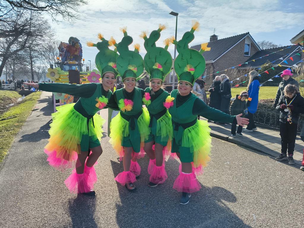 Carnavalskleding: 4 Cactus Jurken + tule rok + cactus hoeden, Kleding | Dames, Jurken, Gedragen, Maat 38/40 (M), Groen, Boven de knie