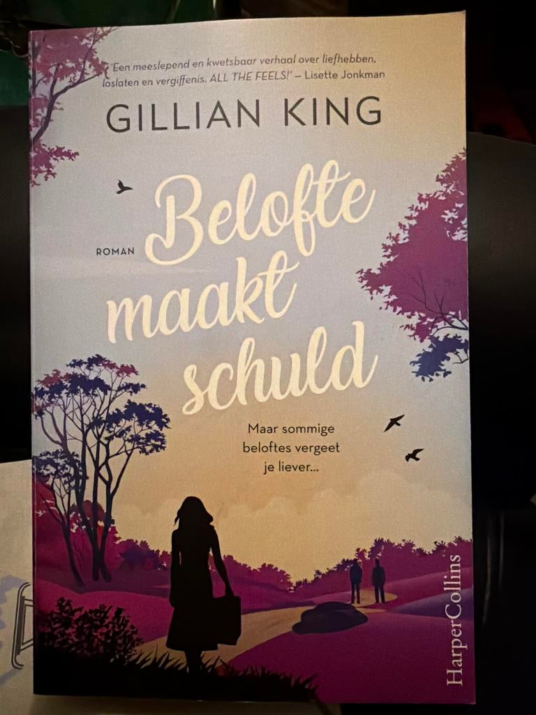 D5.  Belofte maakt schuld - Gillian King, Boeken, Ophalen of Verzenden, Zo goed als nieuw, Nederland