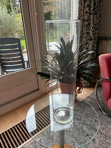 Hoge glazen vaas beschikbaar voor biedingen