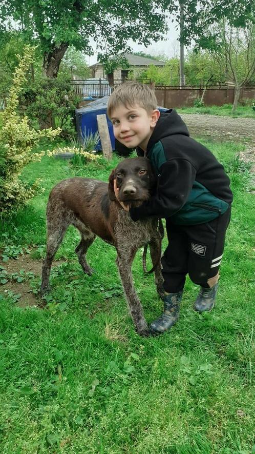 Karmel uit Georgie/ blind aan één oog, Dieren en Toebehoren, Honden | Niet-rashonden, Middel, Reu, Particulier, Eén hond, Buitenland