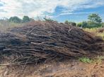 Takken afscheiding hout, Tuin en Terras, Ophalen