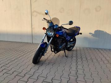Kawasaki ER-5 N – 1999 – 15.801 km – Paars-Blauw beschikbaar voor biedingen