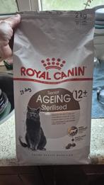 Royal Canin Cat Food - for older cats, Dieren en Toebehoren, Dierenvoeding, Ophalen, Kat