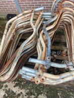 Ligboxen jongfee, Dieren en Toebehoren, Stalling en Weidegang