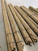 Tonkinstokken Bamboestokken bamboe Boom en plantensteun, Nieuw, Overige typen, Ophalen