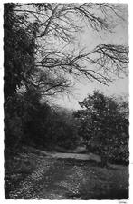 Burgh Haamstede Westerschouwen Oude ansichtkaart ( B889, Verzamelen, Ansichtkaarten | Nederland, Ophalen of Verzenden, 1920 tot 1940