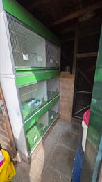 Kweekstelling, Dieren en Toebehoren, Reptielen en Amfibieën | Toebehoren, Ophalen, Zo goed als nieuw, Terrarium of Paludarium