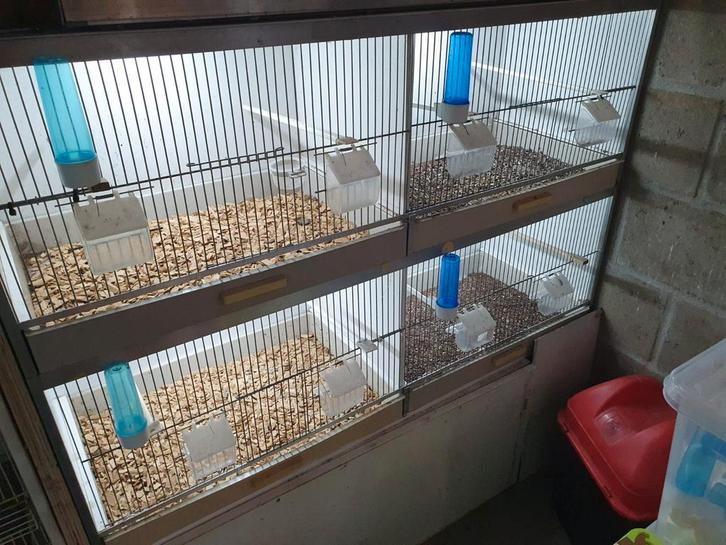 Broedkooi ( GEHU ), Dieren en Toebehoren, Vogels | Hokken en Kooien, Gebruikt, Broedkooi of Kweekkooi, Kunststof, Ophalen