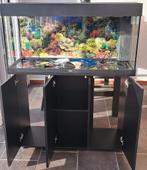 Juwel aquarium, Dieren en Toebehoren, Vissen | Aquaria en Toebehoren, Ophalen, Zo goed als nieuw, Leeg aquarium