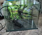 Aqua della aquarium 20 liter, Ophalen, Zo goed als nieuw, Leeg aquarium
