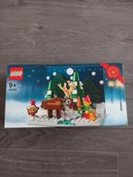 40484 Lego Voortuin van de Kerstman, Kinderen en Baby's, Speelgoed | Duplo en Lego, Nieuw, Complete set, Ophalen of Verzenden