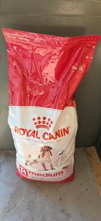 Royal Canin Medium Adult 15kg, Ophalen of Verzenden, Hond
