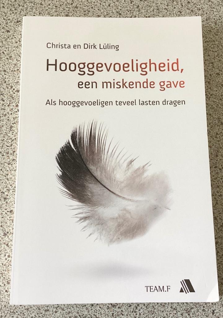Hooggevoeligheid, een miskende gave - Christa Lüling, Boeken, Esoterie en Spiritualiteit, Spiritualiteit algemeen, Ophalen of Verzenden