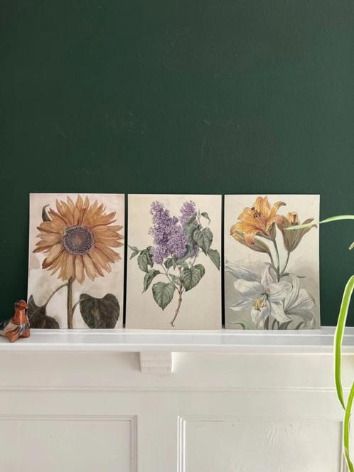 Bloemen Close-Up – 3 Wandkunstkaarten A4, Huis en Inrichting, Woonaccessoires | Wanddecoraties, Nieuw, Ophalen of Verzenden