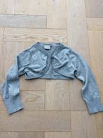 zgan zilverkleurig glitter bolero name it maat 104, Meisje, Trui of Vest, Ophalen of Verzenden, Zo goed als nieuw