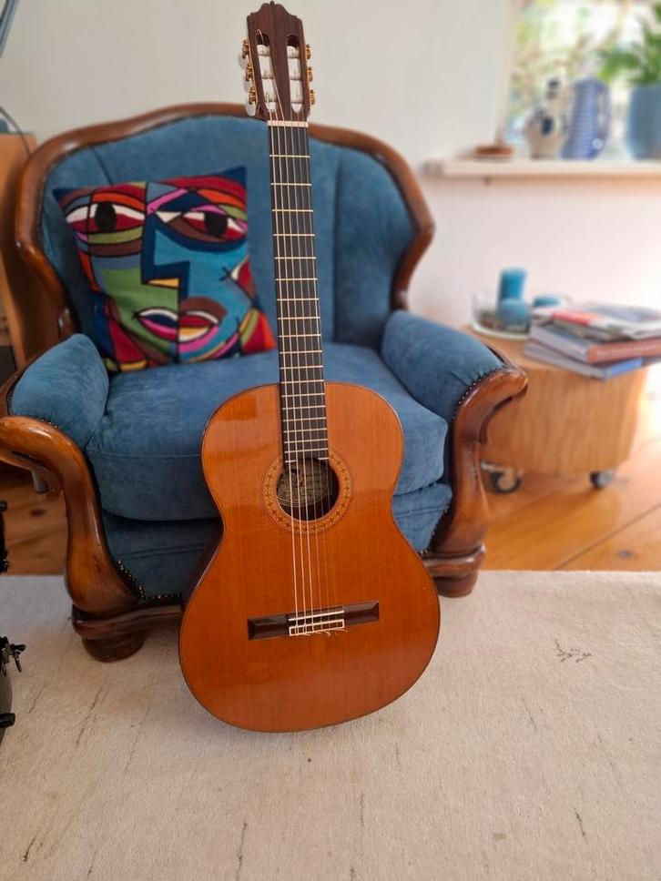 Esteve 9c Klassieke Gitaar + Koffer, Muziek en Instrumenten, Snaarinstrumenten | Gitaren | Akoestisch, Ophalen of Verzenden