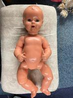 Oude Schildpad Schildkröt pop van 50cm Tortulon, Verzamelen, Poppen, Ophalen of Verzenden, Gebruikt, Pop