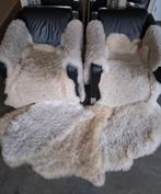 Originele schapenvachten, Ophalen, Landelijk modern, 100 tot 150 cm, 50 tot 100 cm