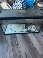 Aquaria, Dieren en Toebehoren, Vissen | Aquaria en Toebehoren, Ophalen of Verzenden, Zo goed als nieuw, Leeg aquarium