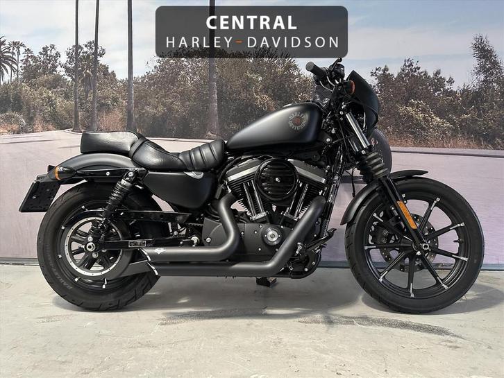 Harley-Davidson Sportster 883 IRON 38KW, Motoren, Motoren | Harley-Davidson, Bedrijf, Overig, meer dan 35 kW
