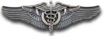 US Army Air Corps and Air Force Flight Surgeon Wing.