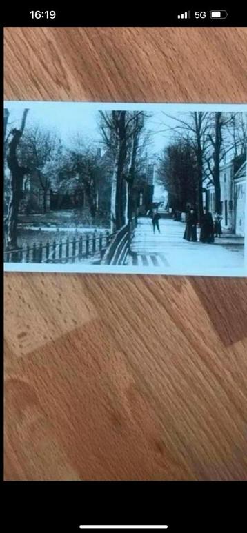 Zaandam, Kattegat beschikbaar voor biedingen