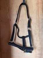 Zwart halster met strass steentjes maat COB, Dieren en Toebehoren, Ophalen of Verzenden, Nieuw, Overige soorten