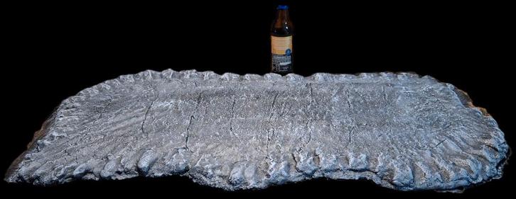 Bonsai Slab / Rotsplaat - 85cm, Tuin en Terras, Bloempotten, Gebruikt, Ophalen