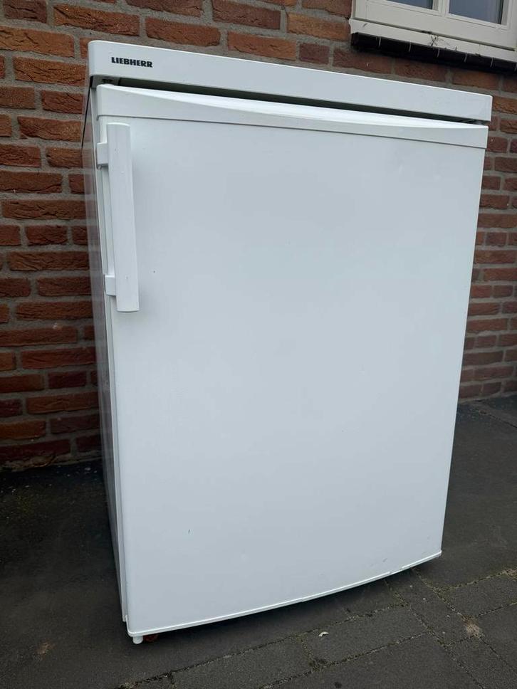 Liebherr Tafelmodel Koelkast - Perfect voor kleine ruimtes!, Witgoed en Apparatuur, Koelkasten en IJskasten, Gebruikt, Met vriesvak