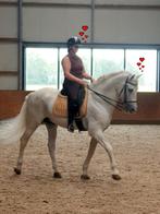 Stalling gezocht voor superbrave Spaanse hengst van 21, Dieren en Toebehoren, Stalling en Weidegang, Stalling