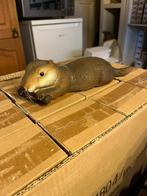 Drijvende bevers €5,- incl, Ophalen, Overige typen