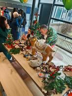 Kerst knutselen voor jong en oud., Ophalen of Verzenden, Nieuw