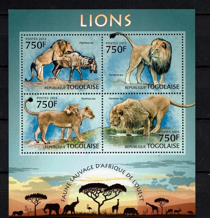 togo pf blok leeuwen lions wildlife katachtige zoogdieren, Postzegels en Munten, Postzegels | Thematische zegels, Postfris, Dier of Natuur