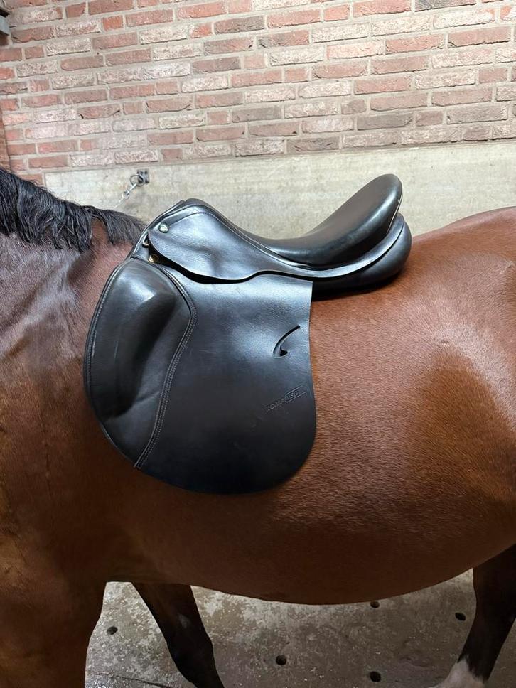 Prestige Roma zadel veelzijdigheid, Dieren en Toebehoren, Paarden en Pony's | Zadels, Zo goed als nieuw, Recreatie, Ophalen