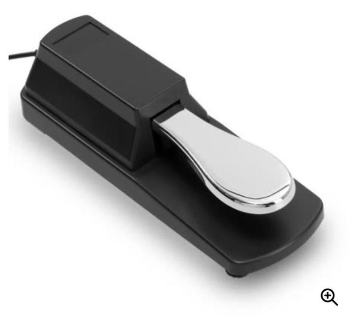 Fazley SP-1 sustain pedaal, Muziek en Instrumenten, Keyboards, Zo goed als nieuw, 88 toetsen, Roland, Ophalen of Verzenden