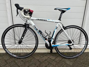 Sensa Umbria beschikbaar voor biedingen