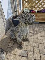 tuinbeeld Grote oude betonnen hond, Tuin en Terras, Tuinbeelden, Ophalen, Gebruikt, Beton