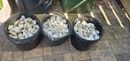 Witte kiezels, 3 emmers ong. 55kg, Ophalen, Beton, 10 m² of meer, Overige typen
