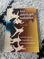 Een delictvrije toekomst - Ineke Heemskerk, Ophalen of Verzenden, Gamma, Zo goed als nieuw, HBO