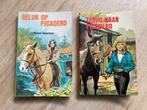 Boeken Manege Picadero, Boeken, Ophalen of Verzenden, Gelezen, Fictie