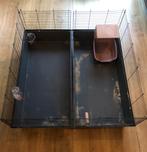 Caviakooi(en) met accesoires, Kooi, 110 cm of meer, Zo goed als nieuw, Ophalen